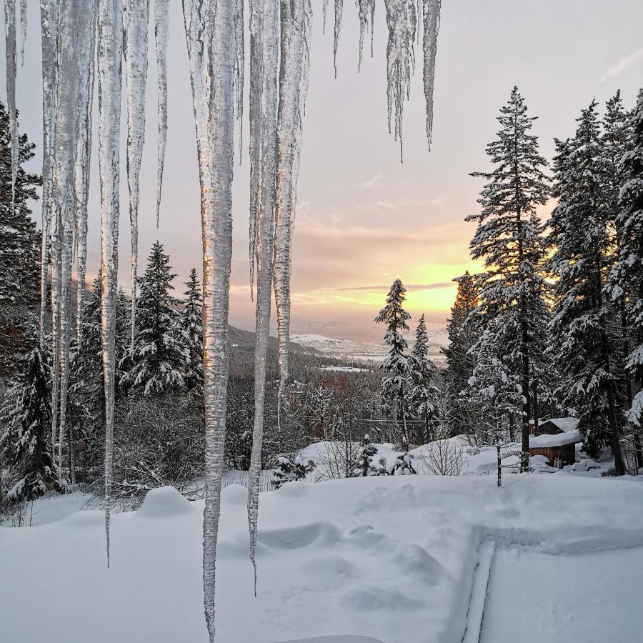 Spirit Lodge At Silverstar Вернон Екстер'єр фото